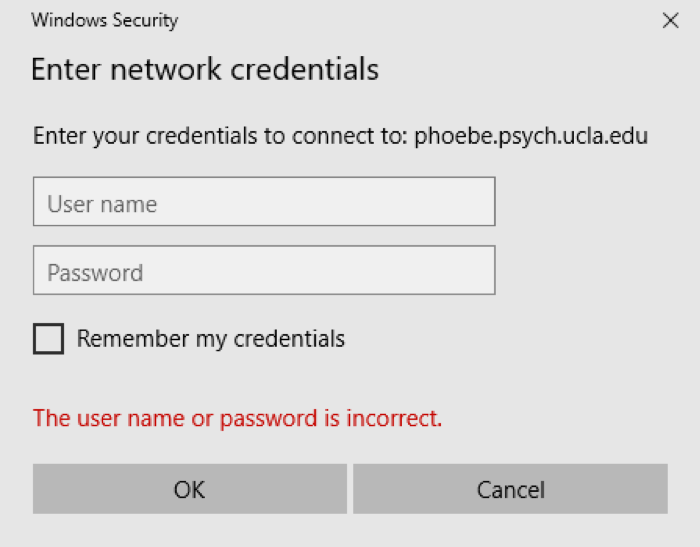 Windows Security: Enter Network Credentials