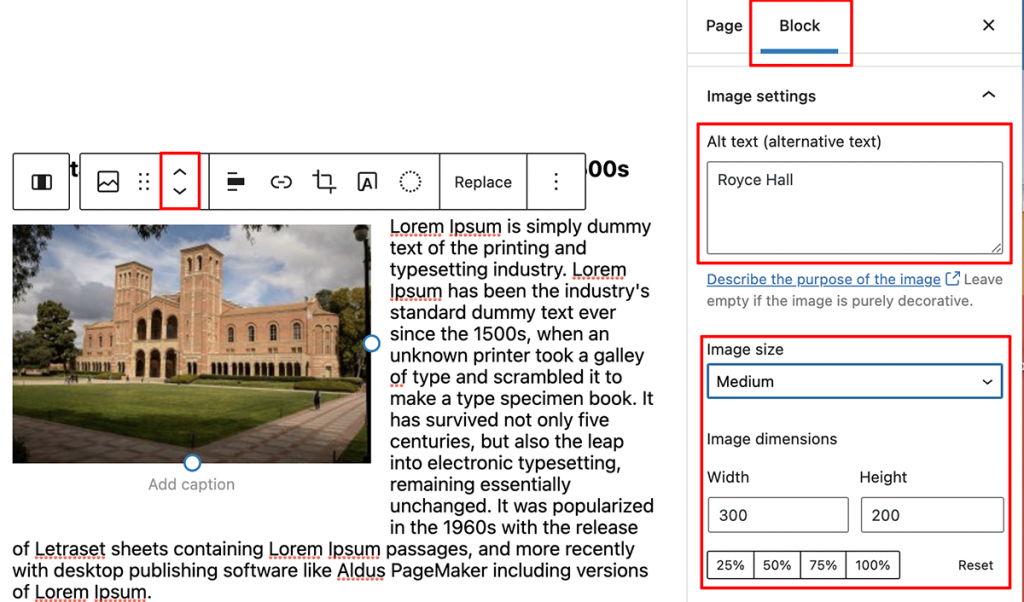 Image resizing and placement using the Block Editor